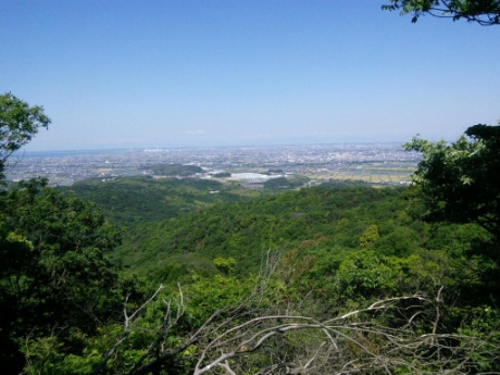 画像4